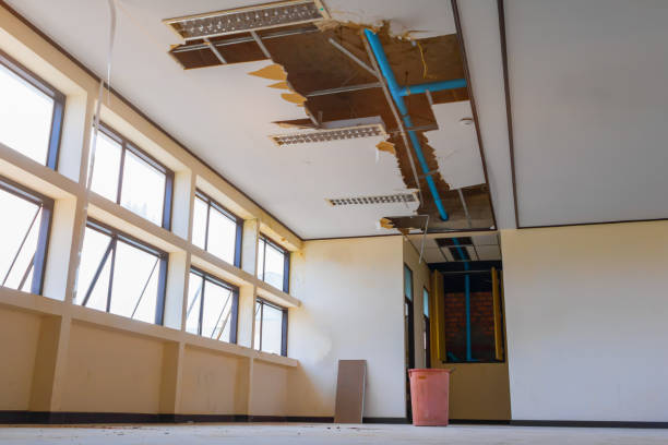 Best Local water damage restoration  in St George, UT
