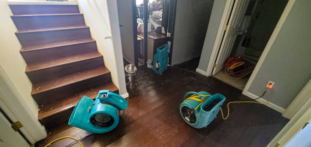Best Basement water damage restoration  in St George, UT