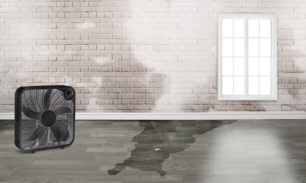 Reliable St George, UT Water damage restoration Solutions