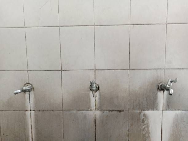 Best Professional water damage repair  in St George, UT
