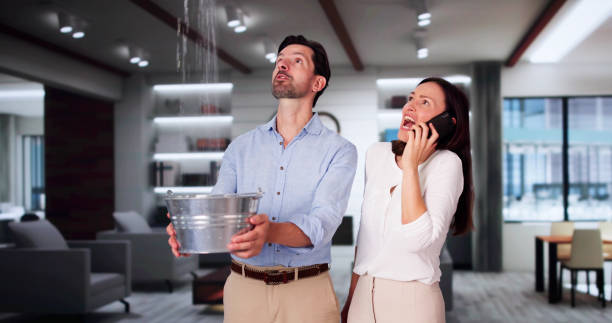 Best Water damage contractors near me  in St George, UT